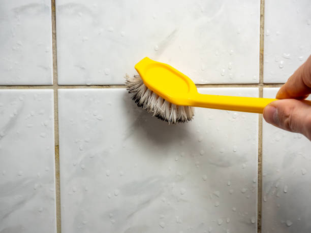 Best Same-Day Mold Removal  in West Freehold, NJ