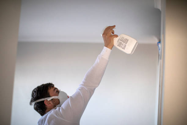 Best Crawl Space Mold Removal  in West Freehold, NJ