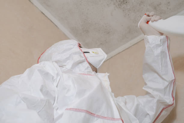 Best Toxic Mold Removal  in West Freehold, NJ